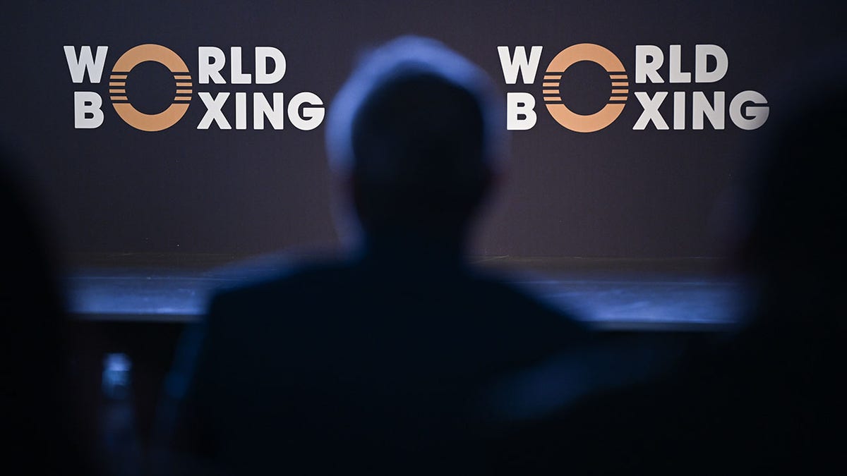 Organización Mundial de Boxeo