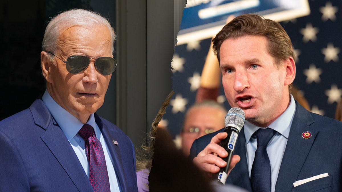 Joe Biden and Dean Phillips