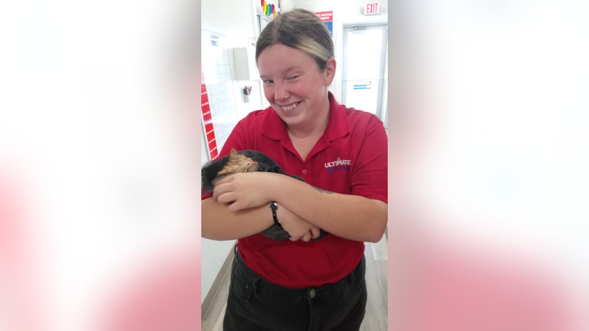 Cat with car wash employee