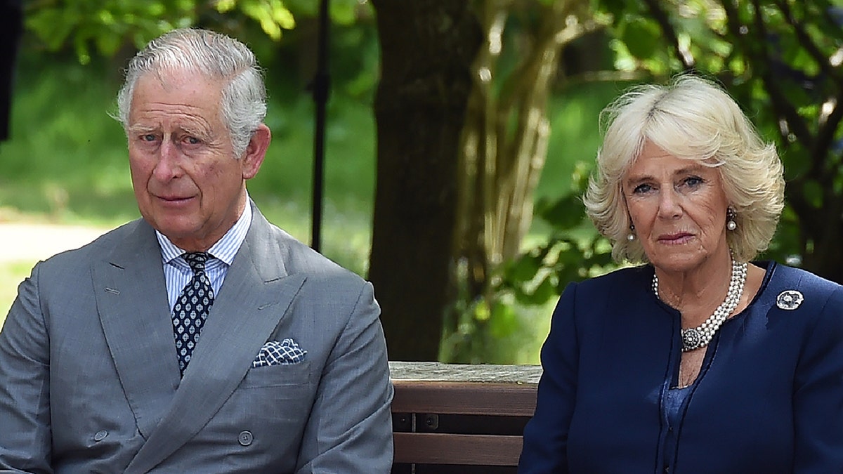 King Charles and Camilla approach each other