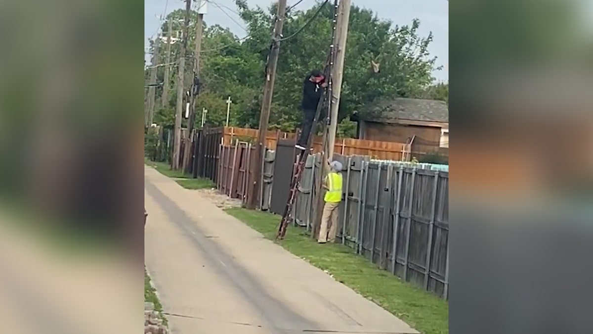 People on a ladder steal copper wire