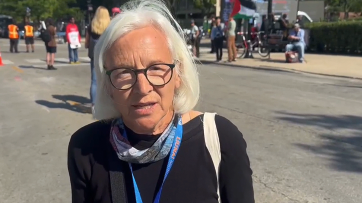 Patrice Parker, a DNC attendee, speaks with Fox 