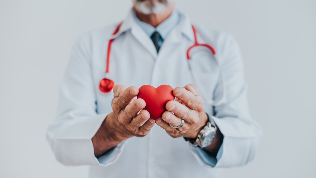 A doctor holding a heart in his hands