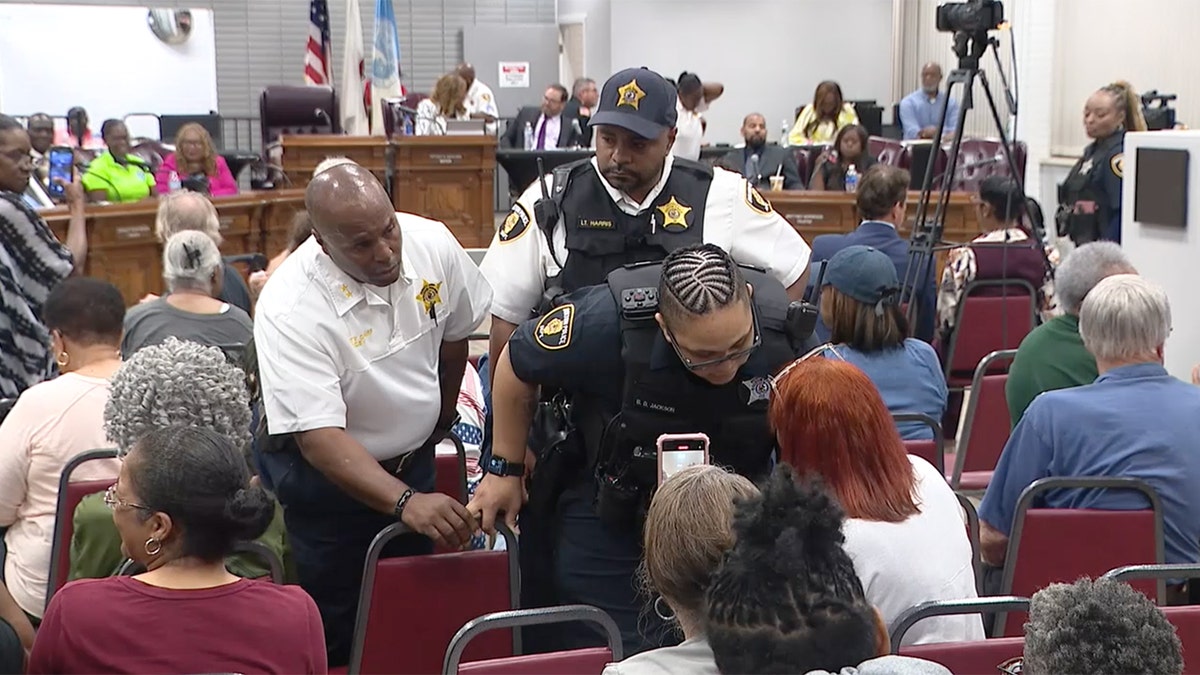 Dolton law officers speak with seated woman at board meeting