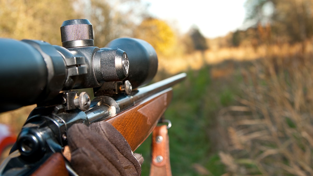 rifle de caza en iStock