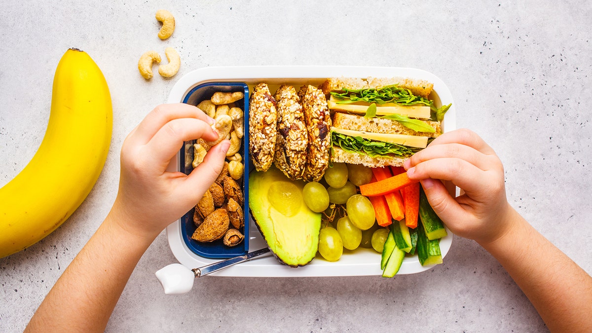 School luncheon  container  with sandwich, cookies, nuts, fruits and avocado