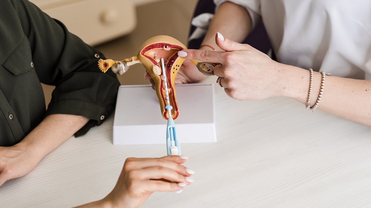 Close-up insert of intrauterine device IUD into a uterus model