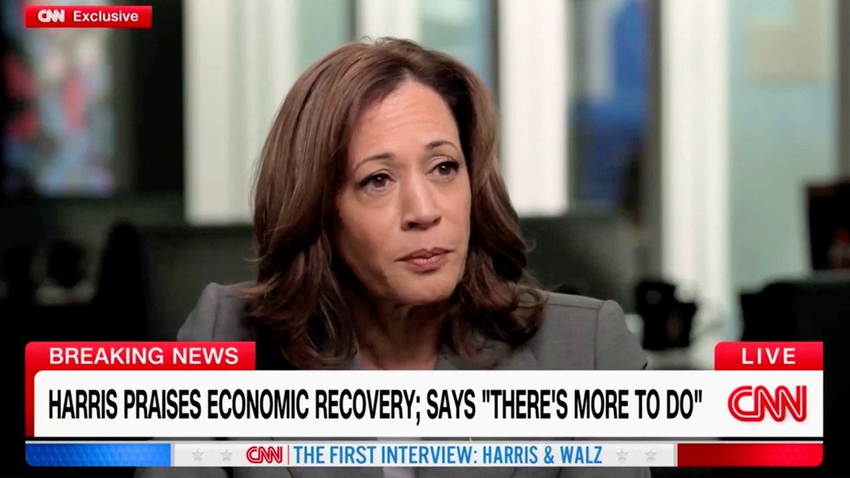 Kamala Harris offers vague 'Day 1' Oval Office plan in CNN interview ...