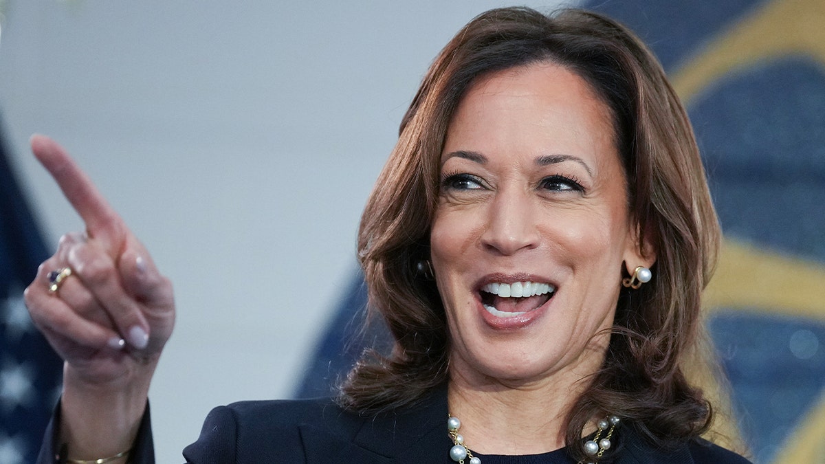 Democratic presidential candidate Vice President Kamala Harris speaks at a campaign rally at United Auto Workers Local 900 on Aug. 8, 2024 in Wayne, Mich. 