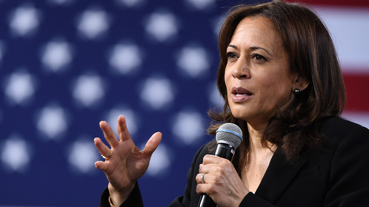 Kamala Harris holding microphone with US flag behind her