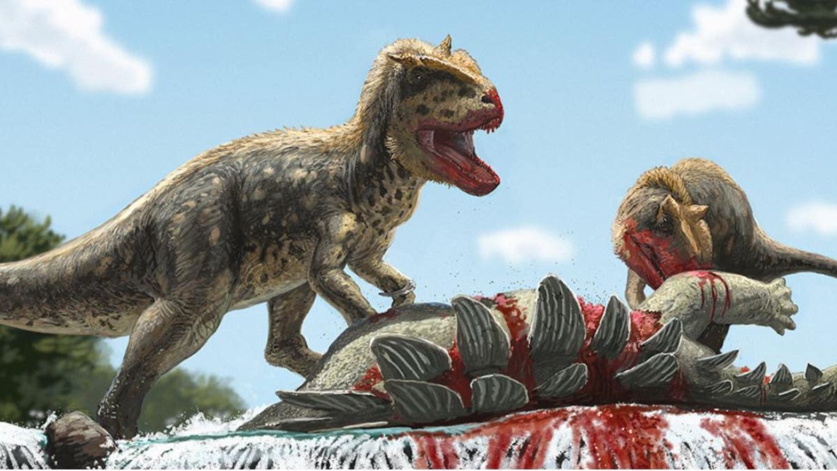 New dinosaur species very similar to T. rex present in Asia: ‘One of the vital’ discoveries