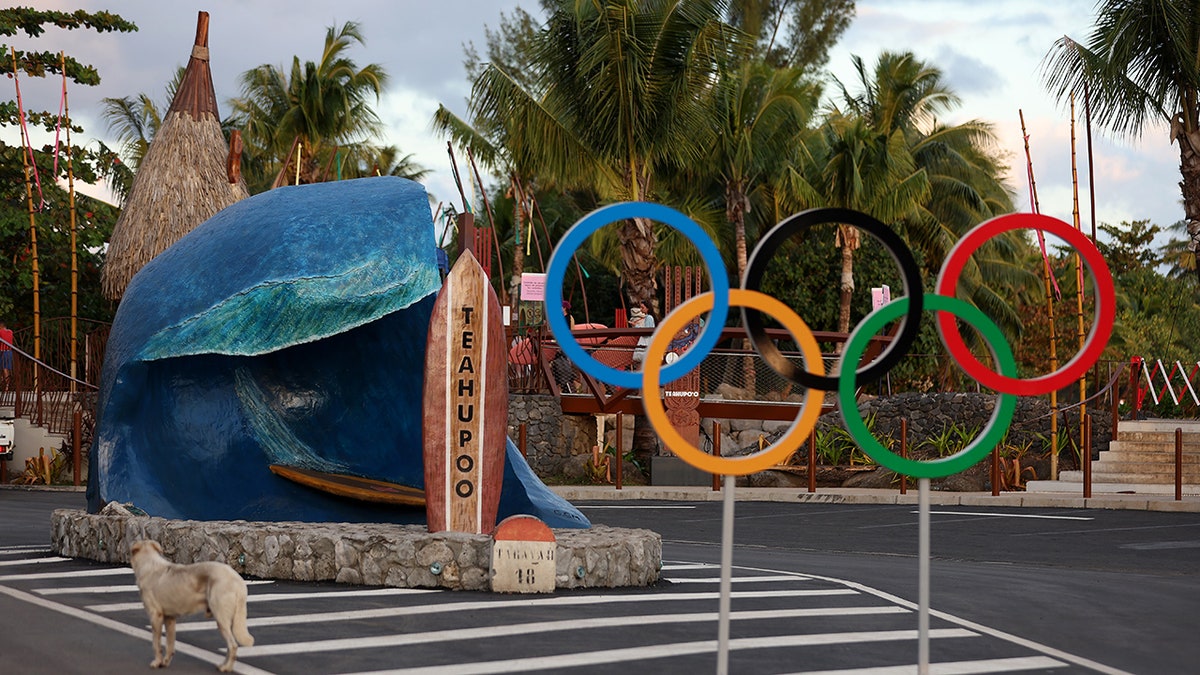 Olympic surfing