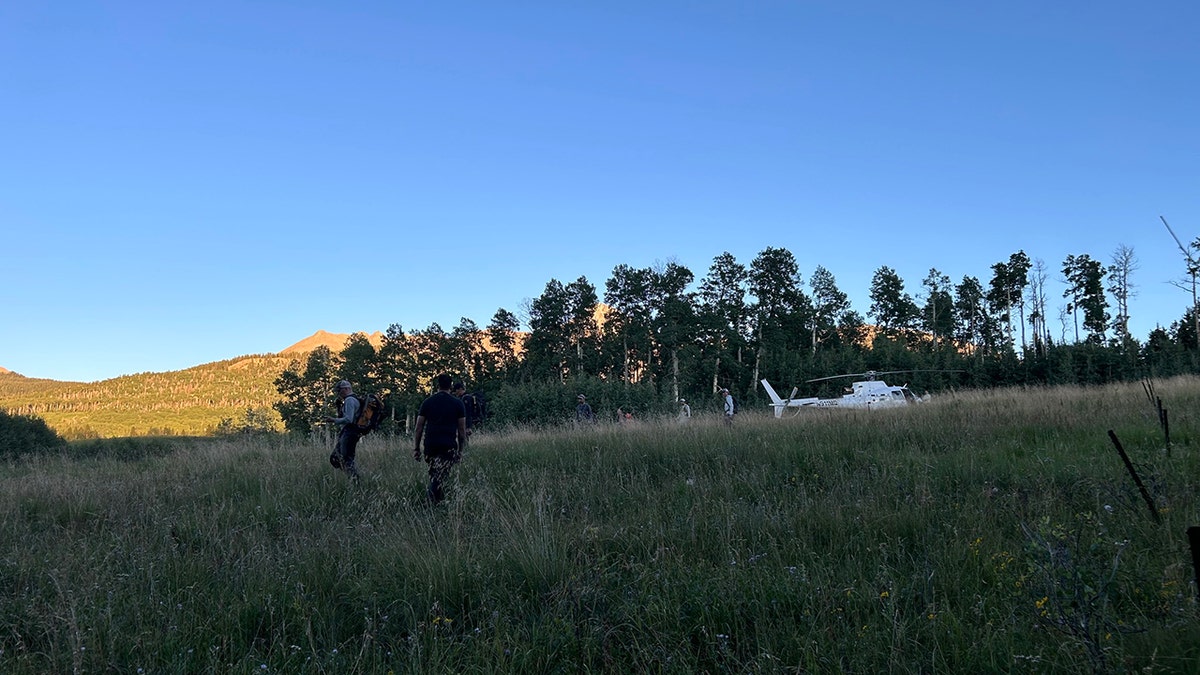 Searcher in Colorado