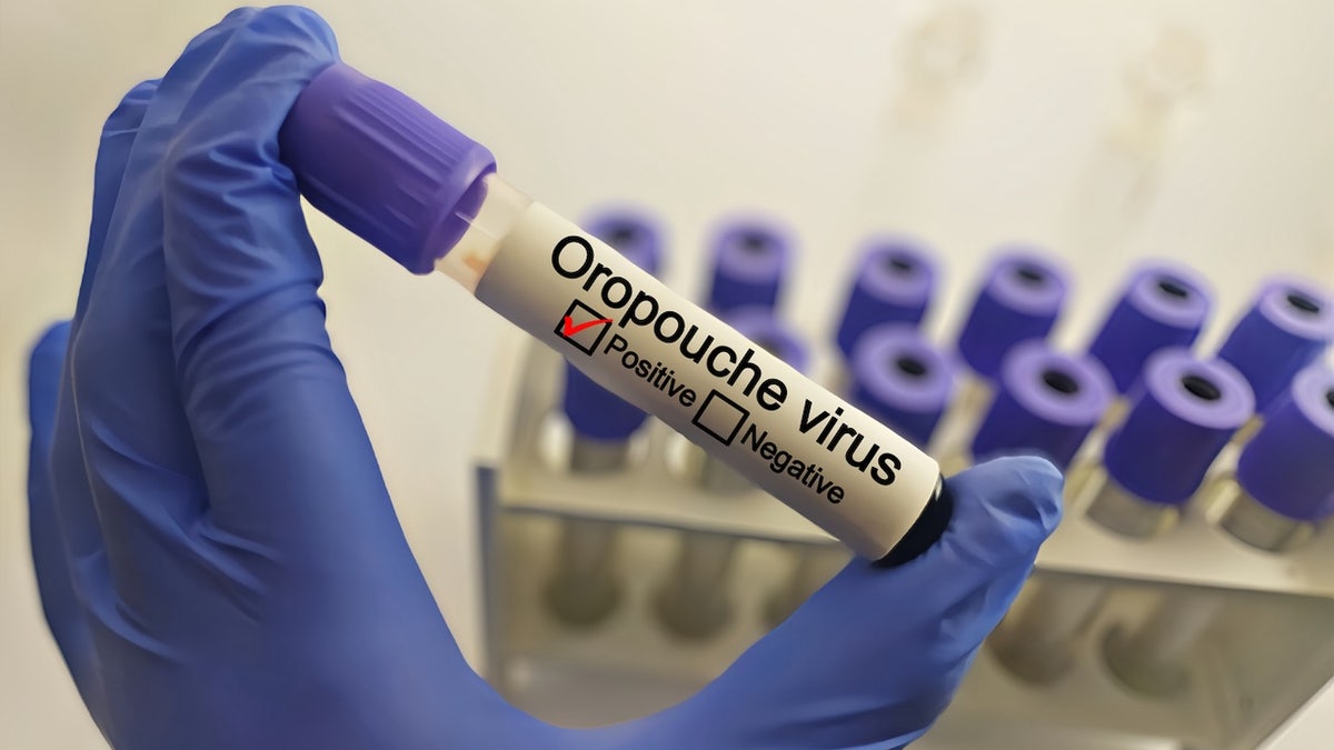 virus de oropouche