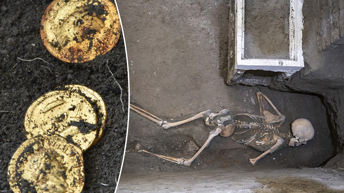 Monedas de oro junto a una fotografía de un esqueleto encontrado en Pompeya