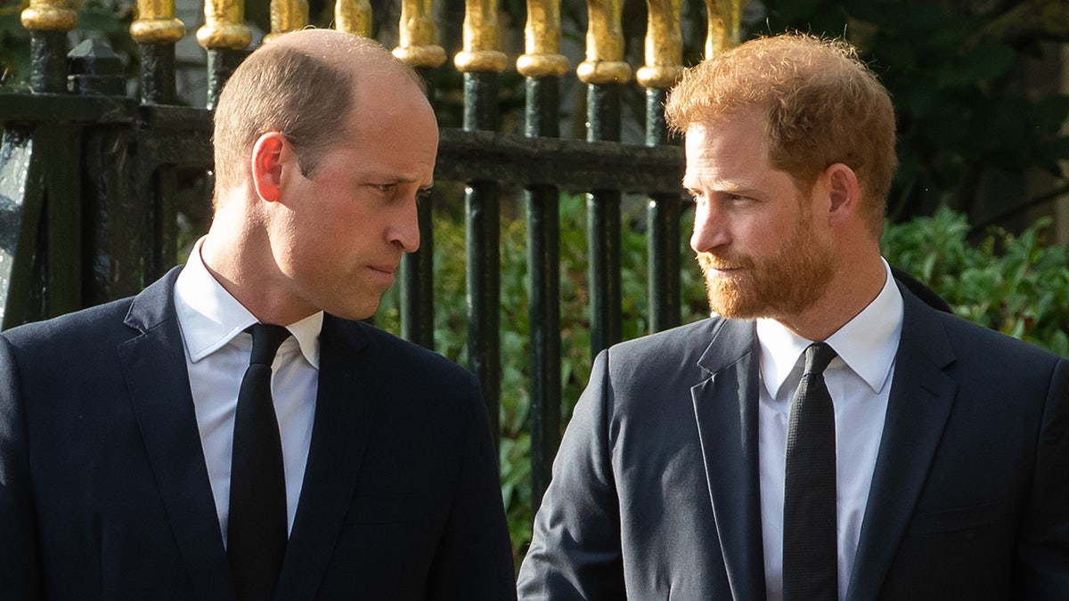 Prince William in a black suit looks stern as he faces his brother Prince Harry in a grey suit