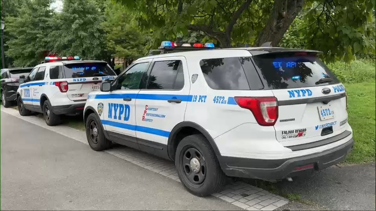 Coche de la policía de Nueva York en Randall's Island