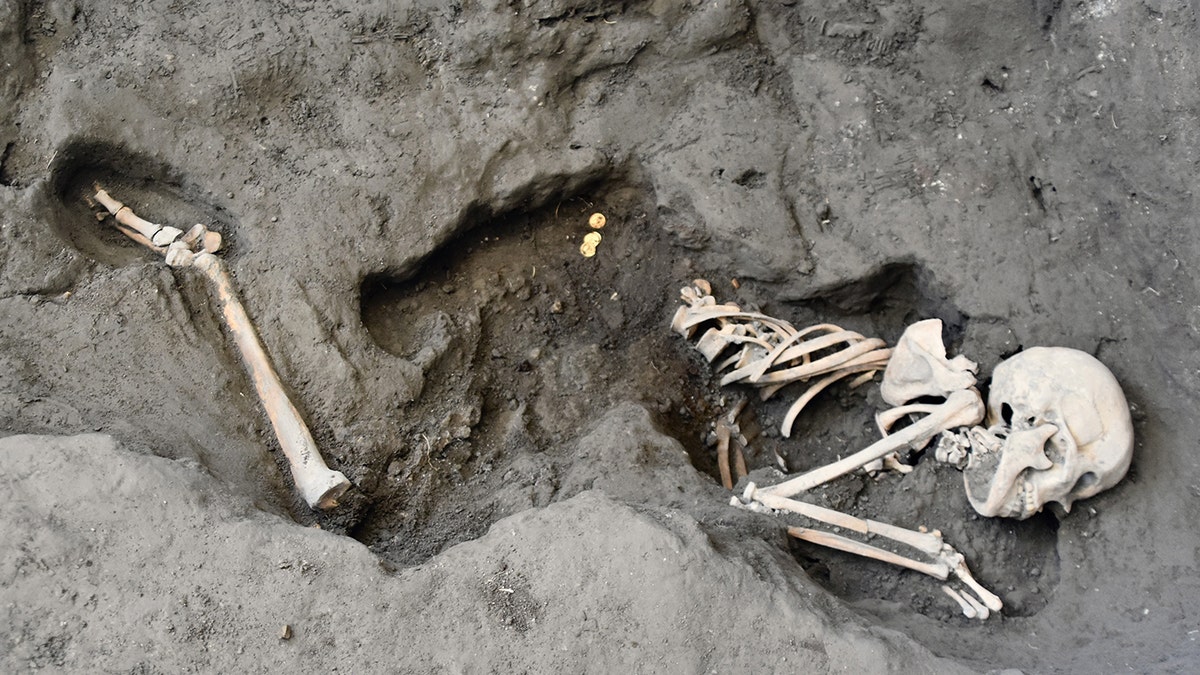 A skeleton and gold coins at its side