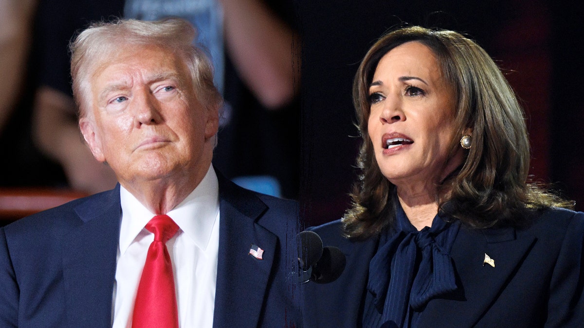 Separación fotográfica entre Trump y Harris