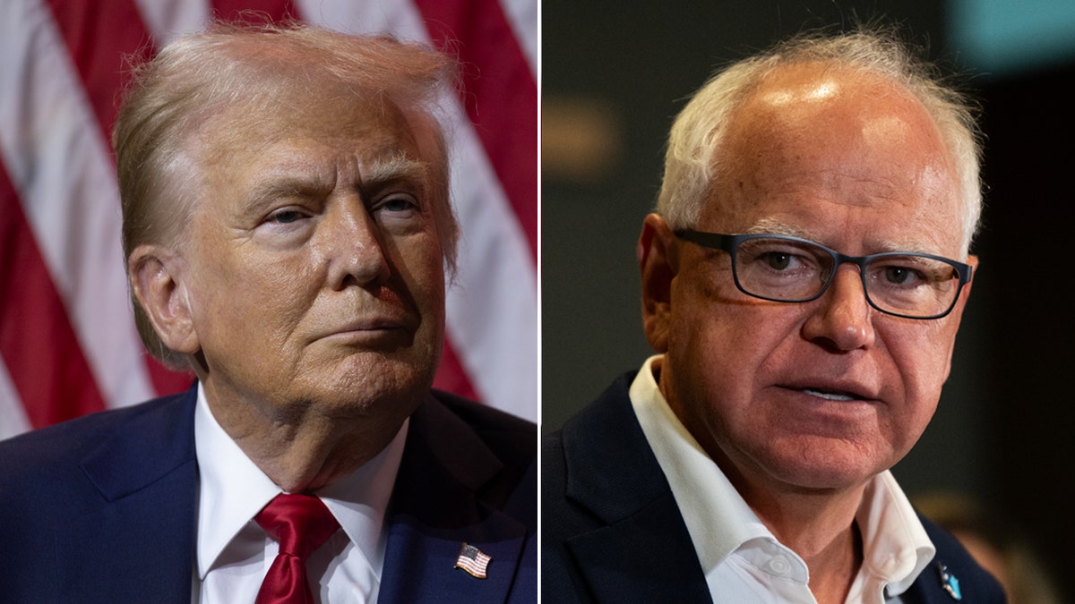 Trump 'thrilled' with Harris tapping 'very liberal' Tim Walz as running mate: 'Shocking pick'