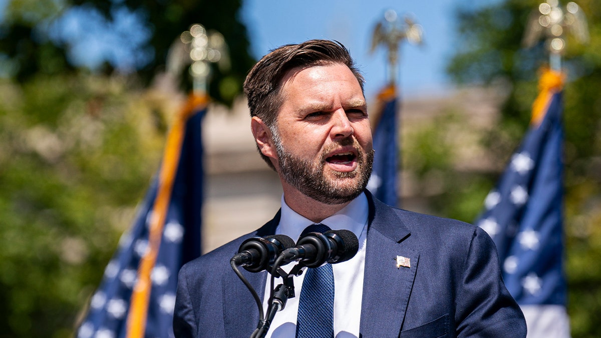 Republican vice presidential candidate, Sen. JD Vance (R-OH) addresses the audience at a campaign rally on Aug. 20, 2024 in Kenosha, Wisc. Vance is campaigning in several battleground states as part of his campaign efforts.