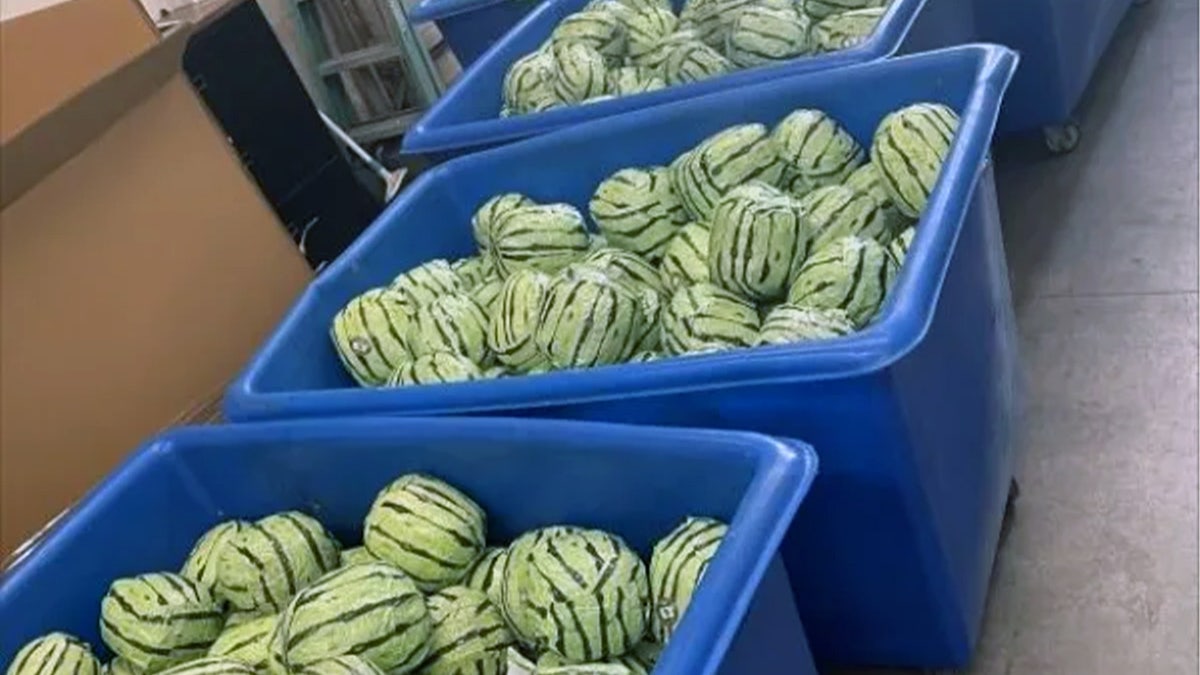 Watermelons