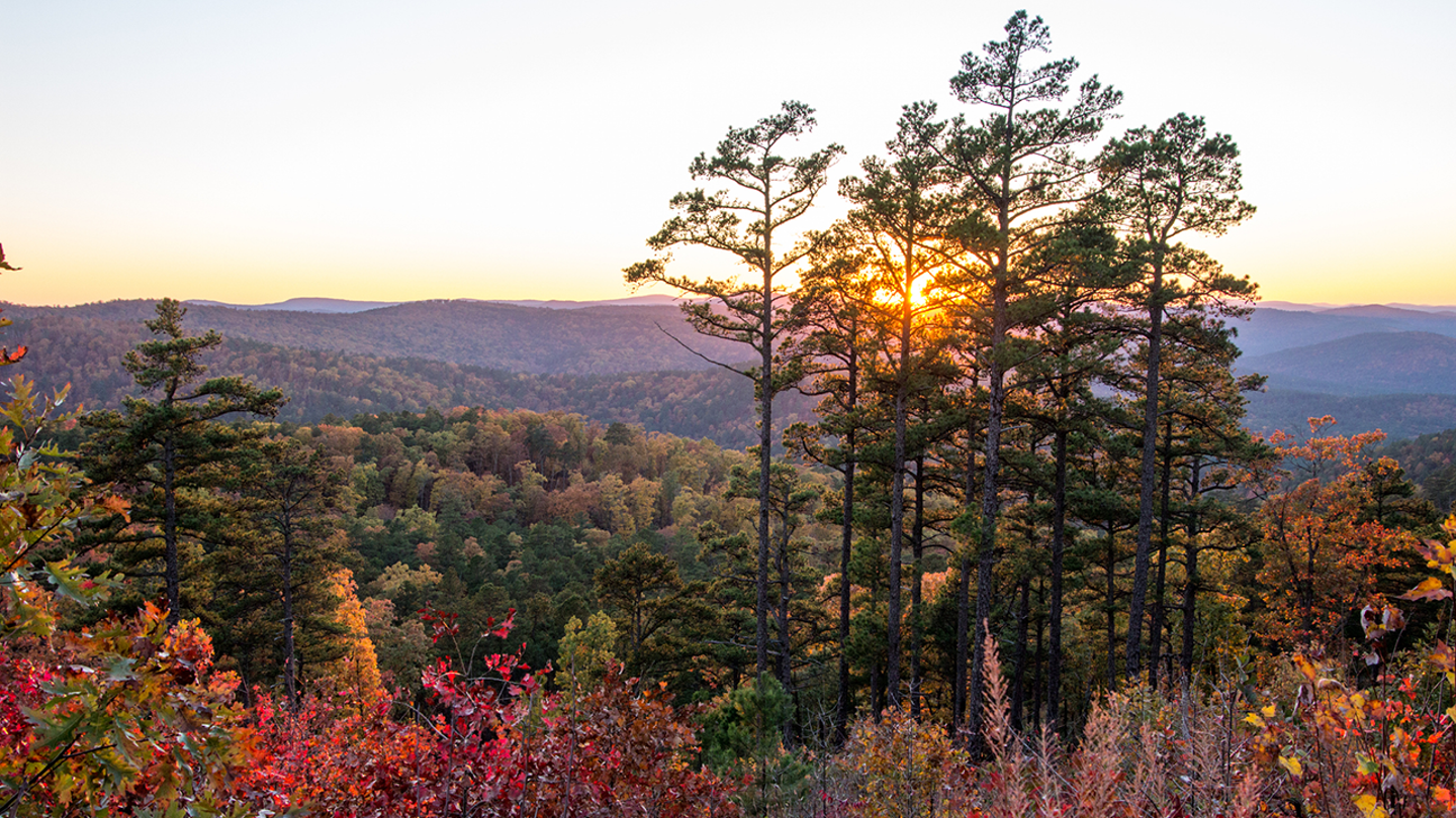 Get Ready for Fall Foliage: 5 Stunning U.S. Destinations and 6 Essential Accessories