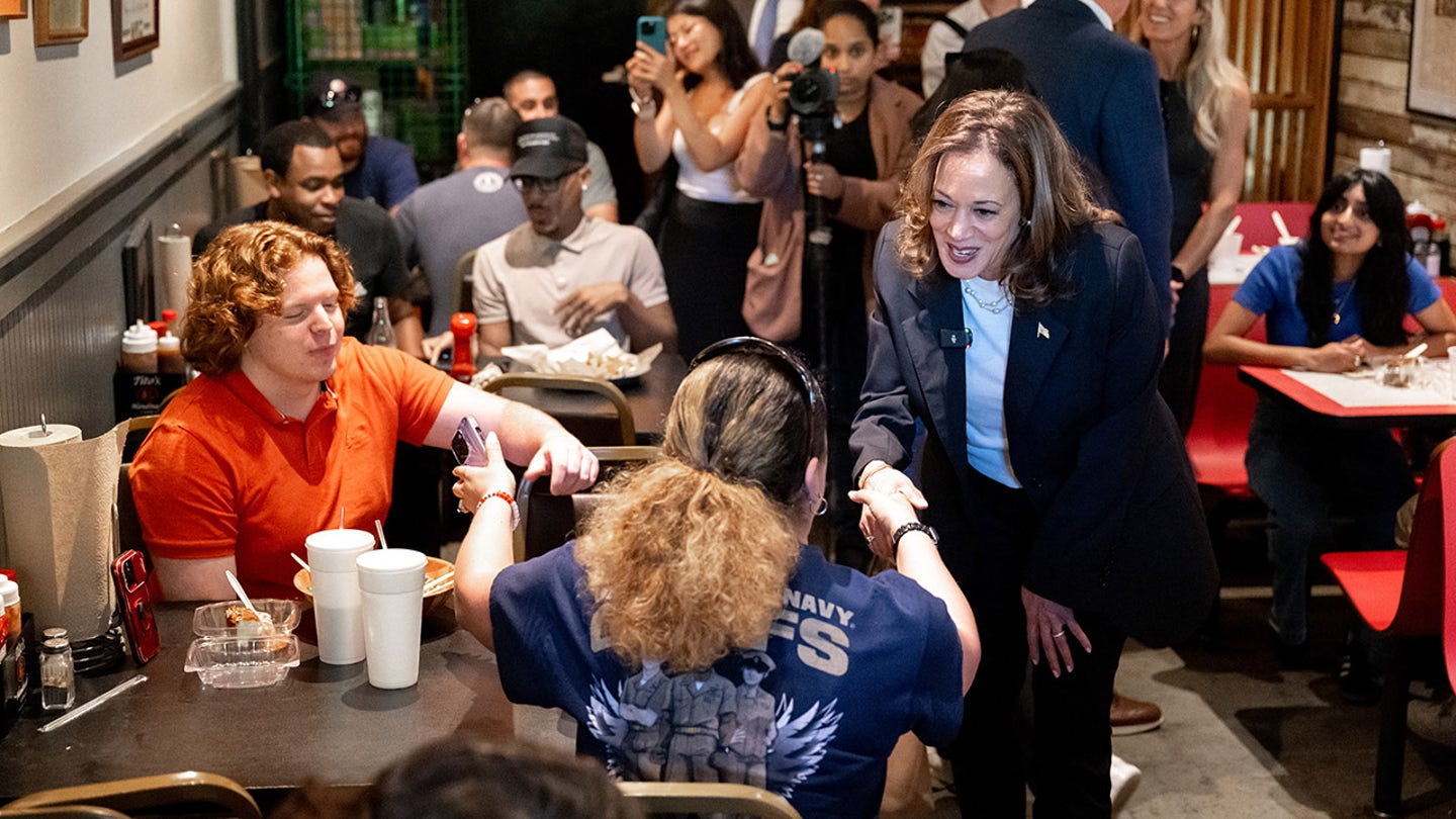 Harris' Presidential Campaign Grapples with Internal Divisions and Leadership Issues