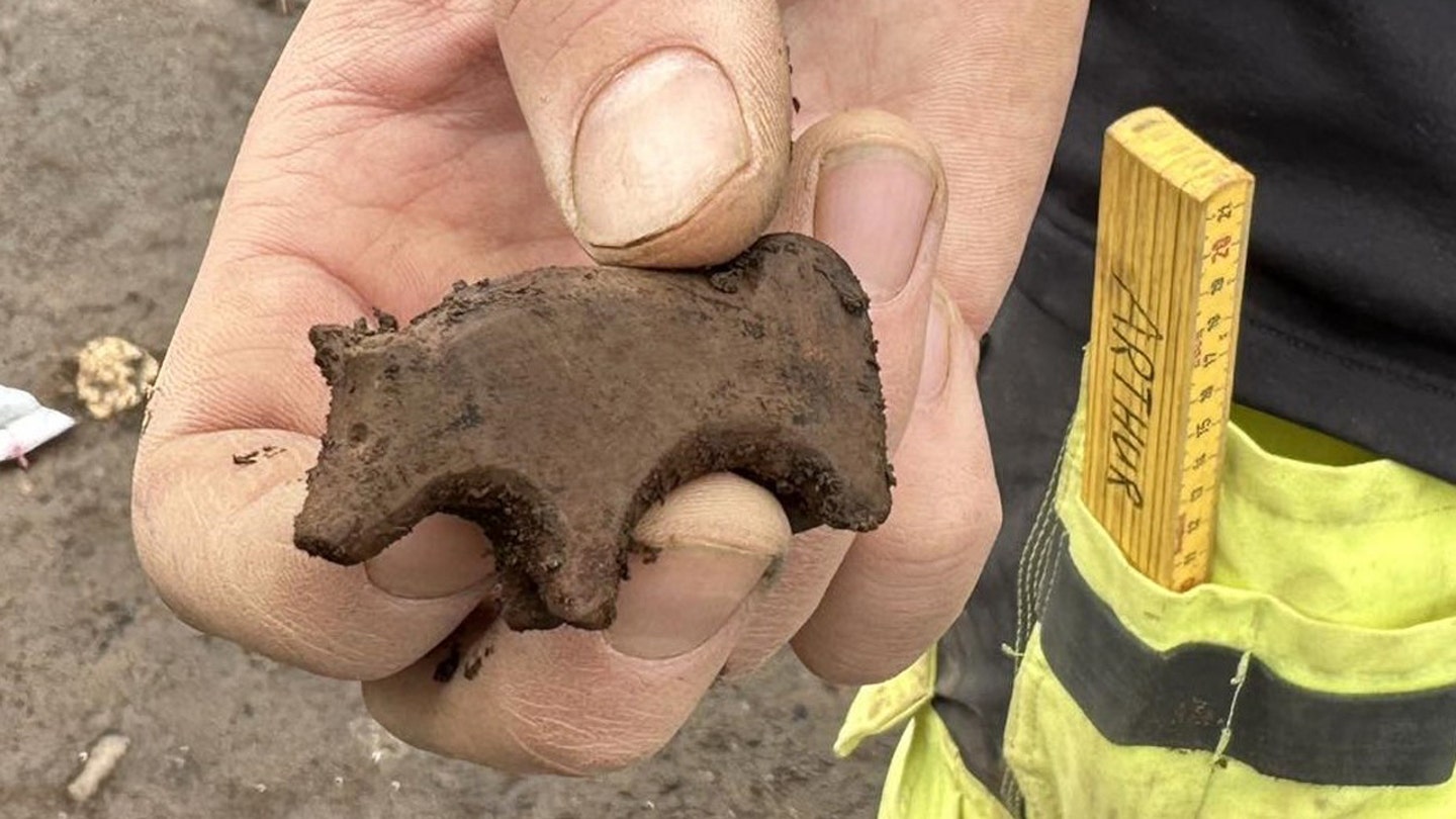 Rare Viking Toy Unearthed in Iceland, Animal Depiction Still a Mystery