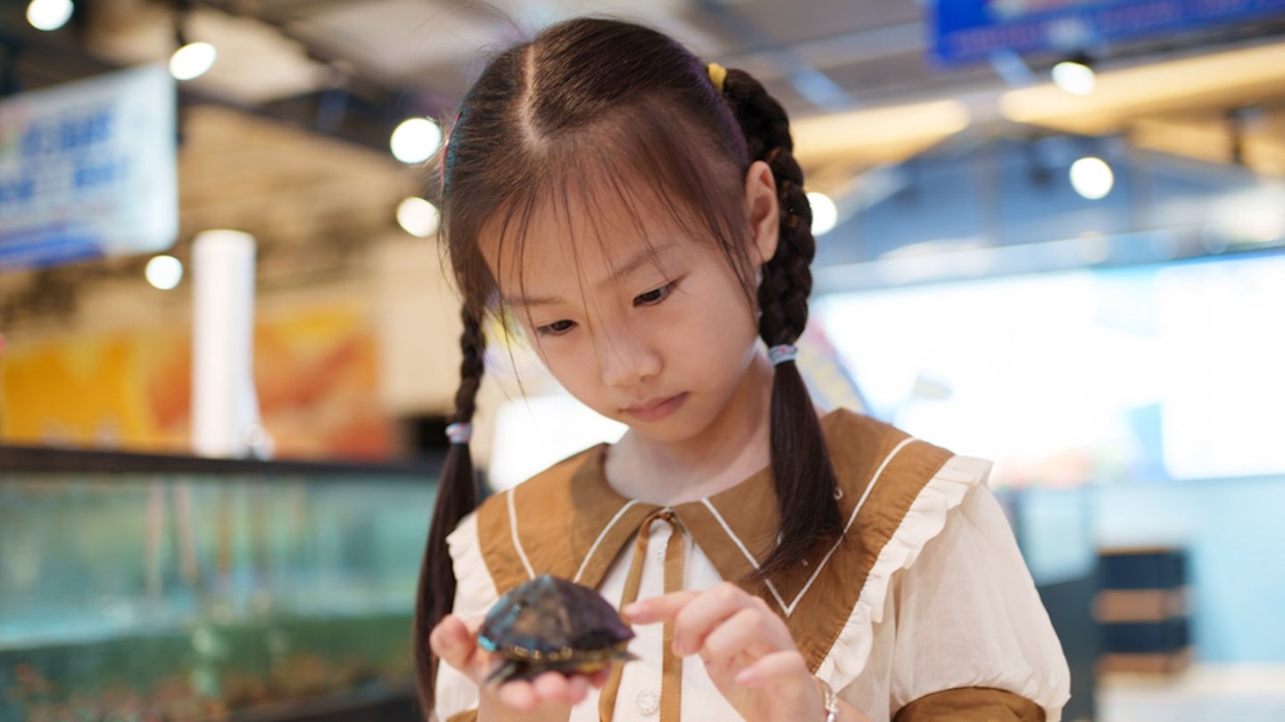 girl with tiny turtle