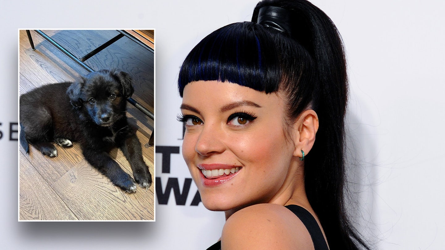 Lily Allen Faces Backlash for Returning Puppy to Shelter After Passport Incident