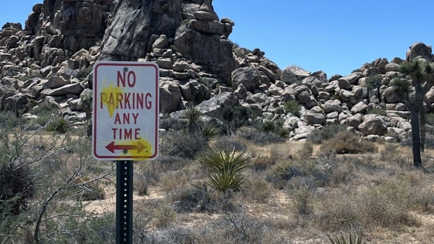 Vandalism at Joshua Tree National Park: German Tourists Cited in Paintball Rampage