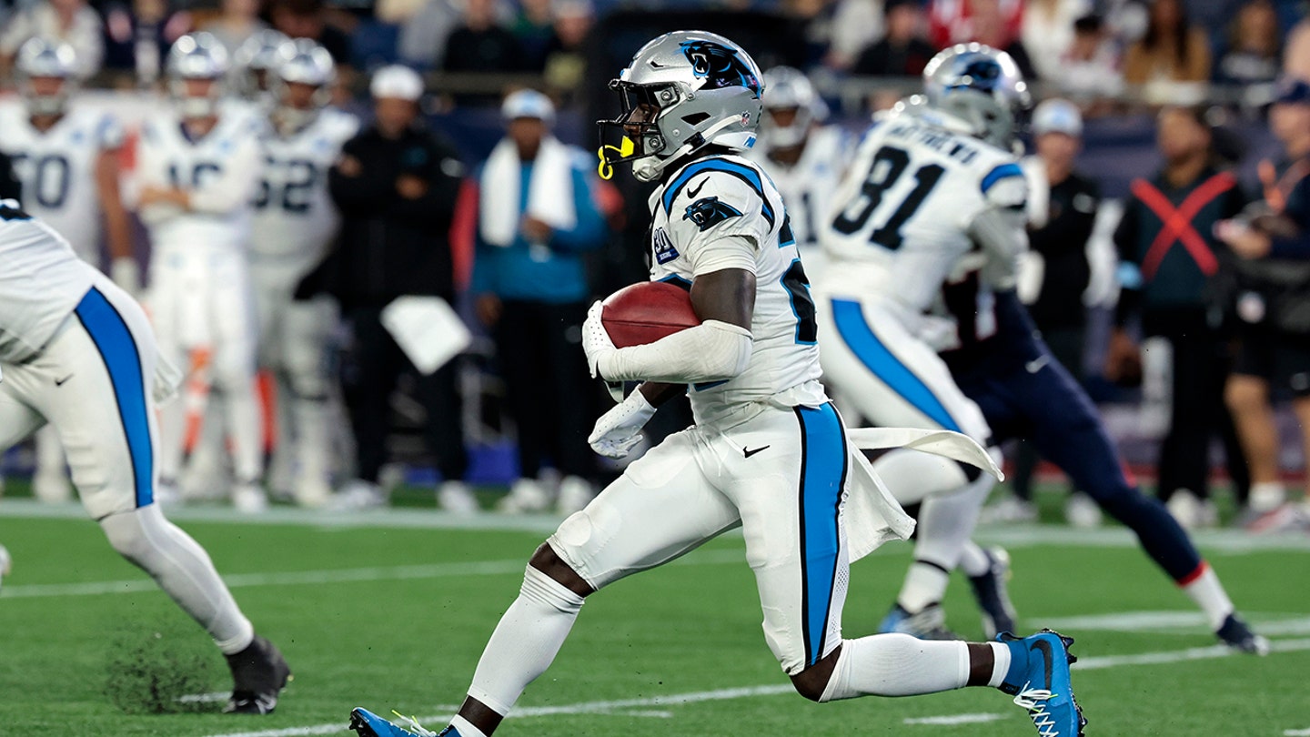 Carolina Panthers Plane Skids Off Runway After Preseason Game