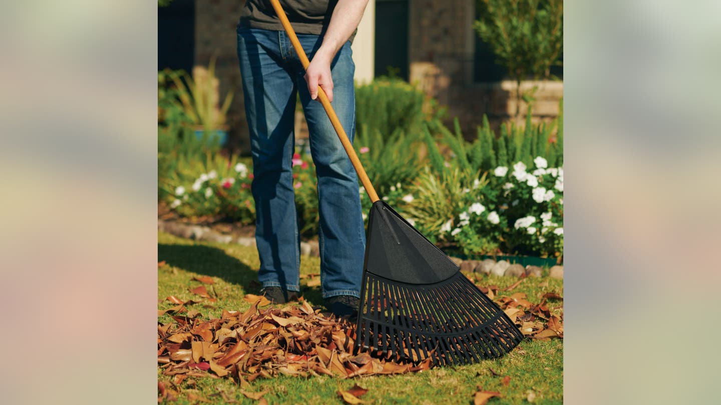 Essential Fall Lawn Care for a Thriving Spring Garden