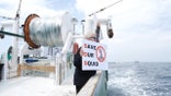 'Menace to our fisheries': New England flotilla unites to protest wind farm after turbine 'disaster'