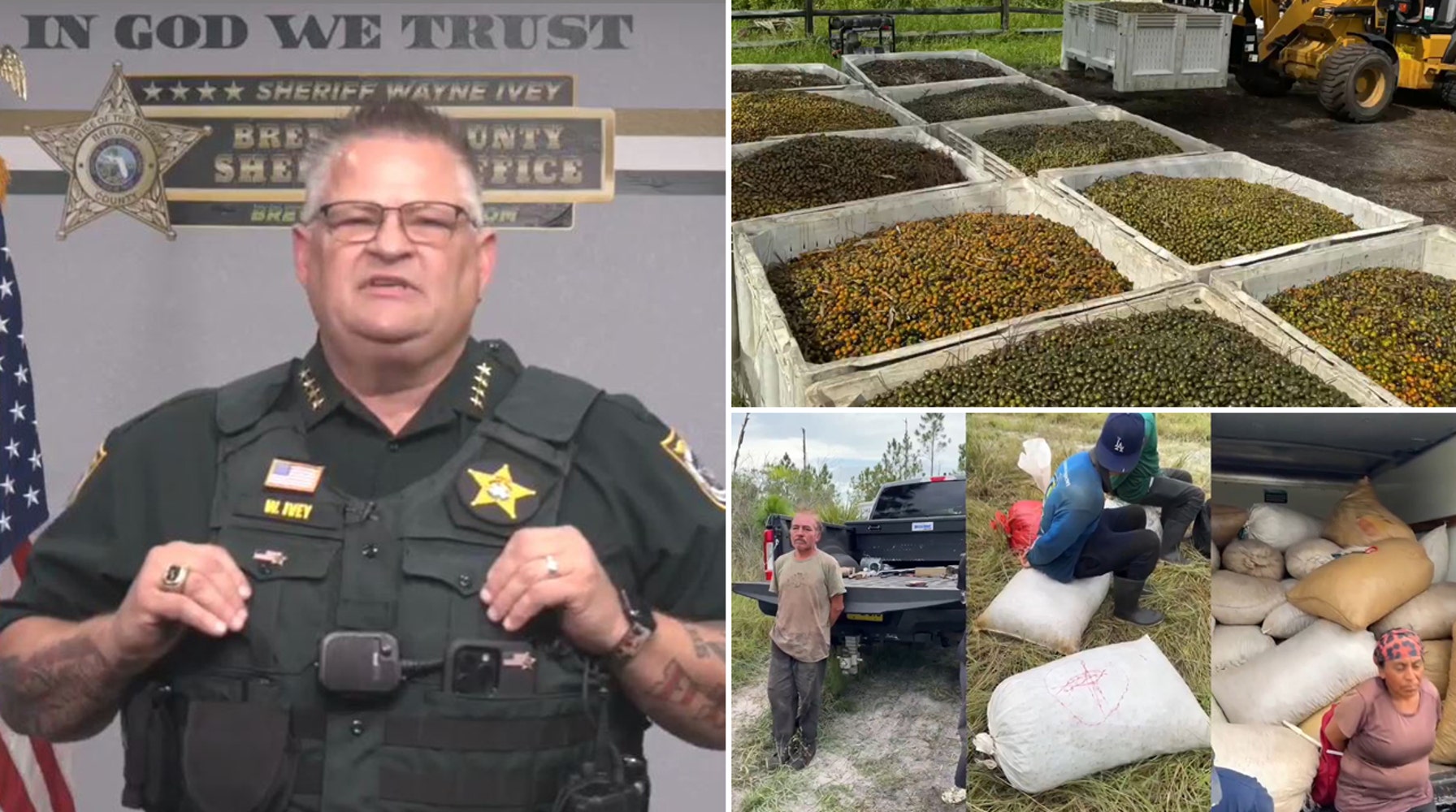 Illegal Immigrants Arrested in Florida for Stealing Palmetto Berries, Sheriff Blames Washington, D.C.