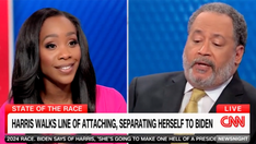 CNN anchor says Harris' price control plan 'sounds' like a 'ploy:' 'Is it really policy?'