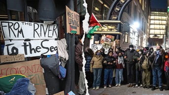 College reportedly forced to cut staff after enrollment decline following anti-Israel riots - Fox News