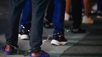 Panama deports 29 Colombians on first US-funded flight - Fox News