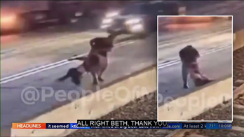 Horrifying Attempt to Murder: Woman Narrowly Escapes Death after Being Thrown into LA Traffic