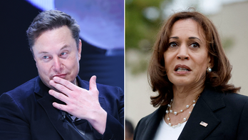 Elon Musk Calls out Vice President Harris Over Border Wall, Illegal Immigration Comments