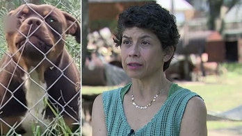 Pit Bull Attacks Prompt Texas Woman to Demand Action