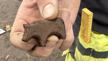 Rare Viking Toy Unearthed in Iceland, Animal Depiction Still a Mystery