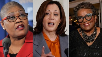 'F--- the White women': Black activists tied to VP Harris could derail Dem 'unity' message with past rhetoric
