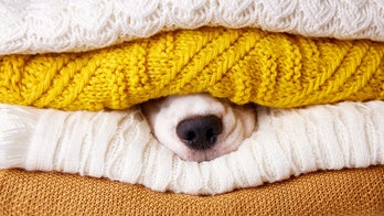 Snuggle Up This Fall: A Guide to the Best Cozy Blankets