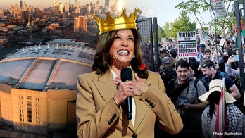 'Feasting' like royalty, Chicago DNC held in fortified castle walled off from reality: former chief