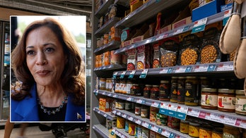 'Nail in the coffin': Grocer turned House lawmaker trashes Kamala Harris' price control plan