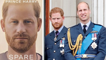 Royal Divide: Expert Calls for Intervention to End Feud Between Prince Harry and Prince William