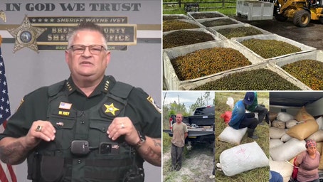 Illegal Immigrants Arrested in Florida for Stealing Palmetto Berries, Sheriff Blames Washington, D.C.