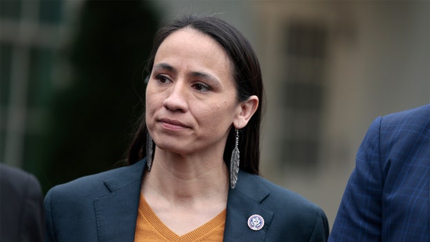 Moderate midwestern Democrat defeats progressive challenger
